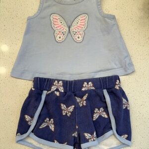 Carter's Blue and Pink Butterfly Kids Matching Set